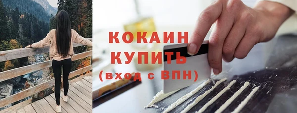спиды Богородск