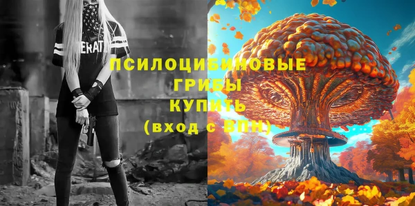 хмурый Богданович