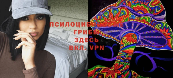 спиды Богородск