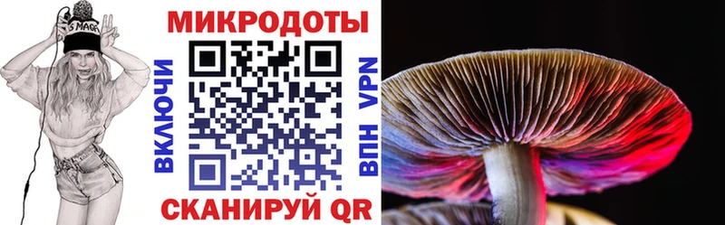 Псилоцибиновые грибы мухоморы Купить закладки Бирюч